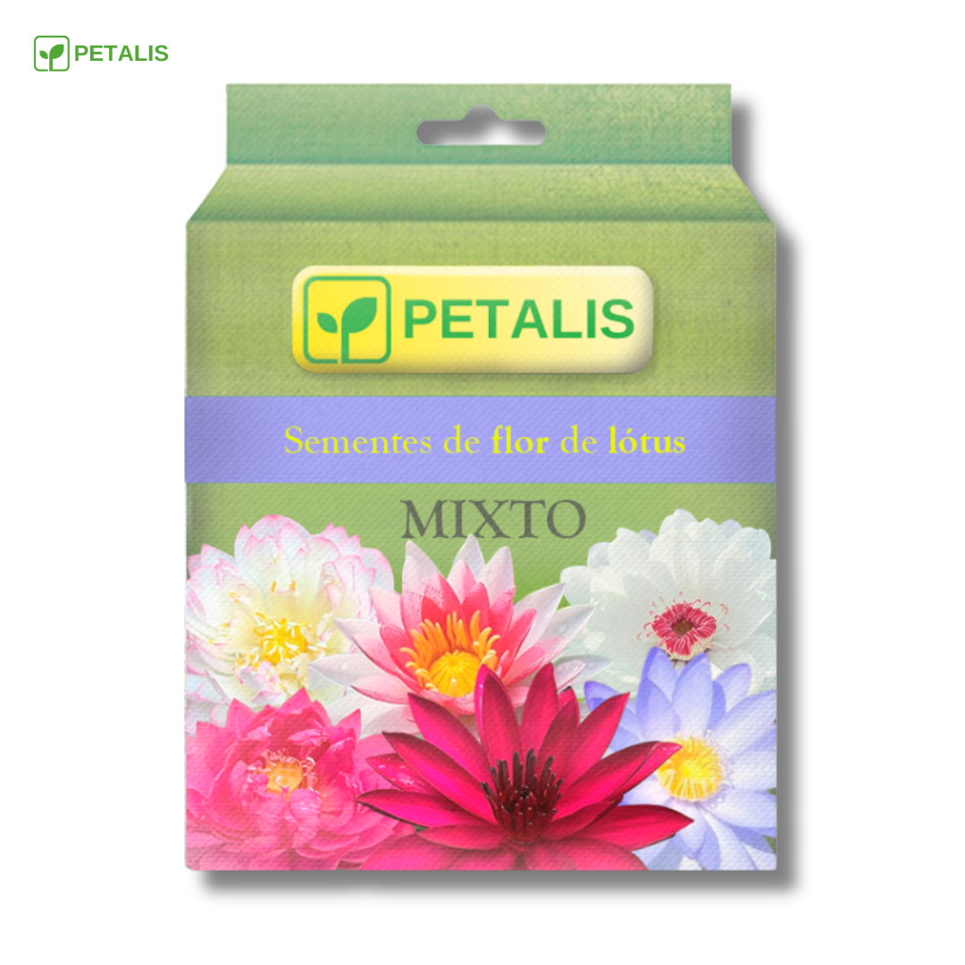 Sementes de flor de Lótus Petalis