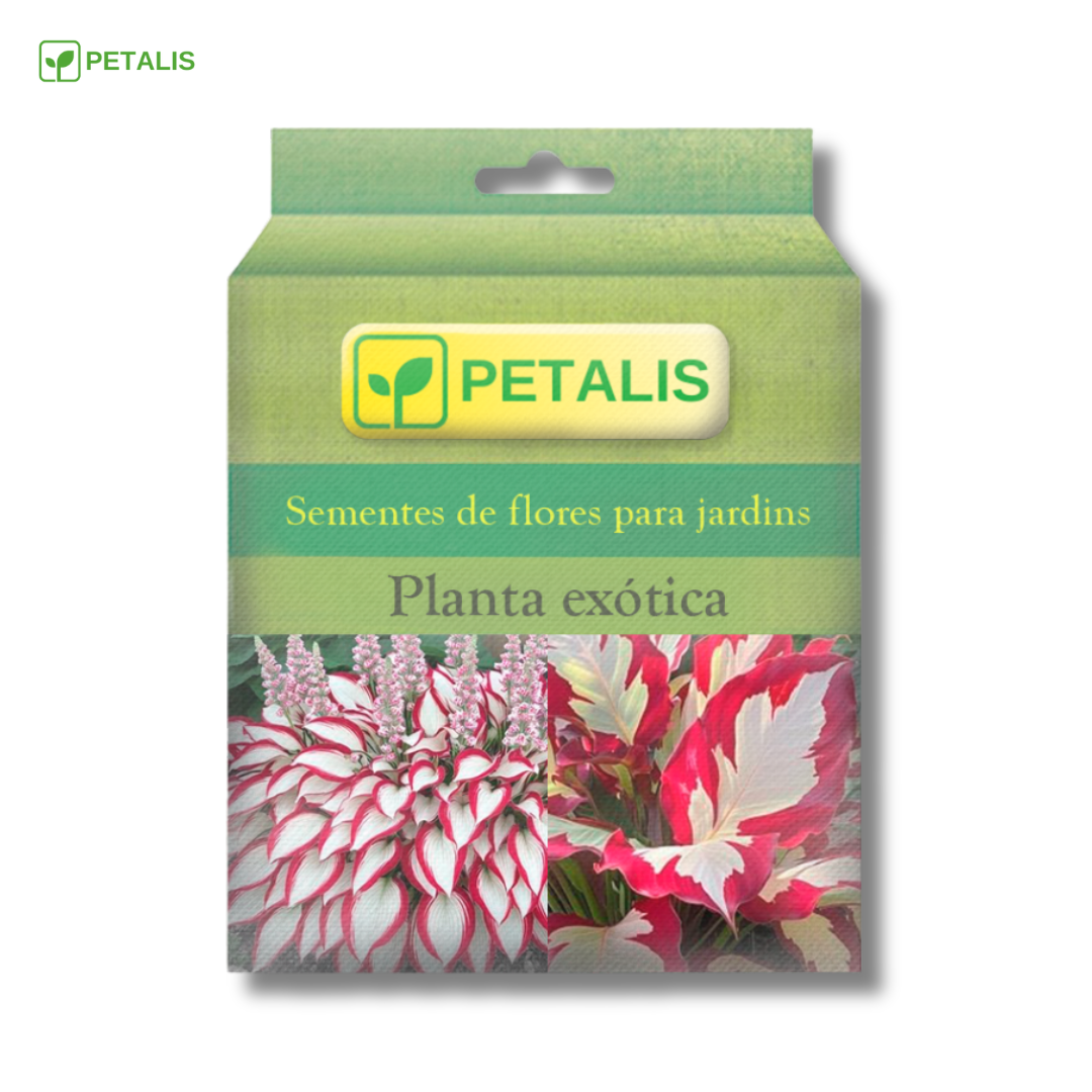 Sementes de planta exótica Petalis