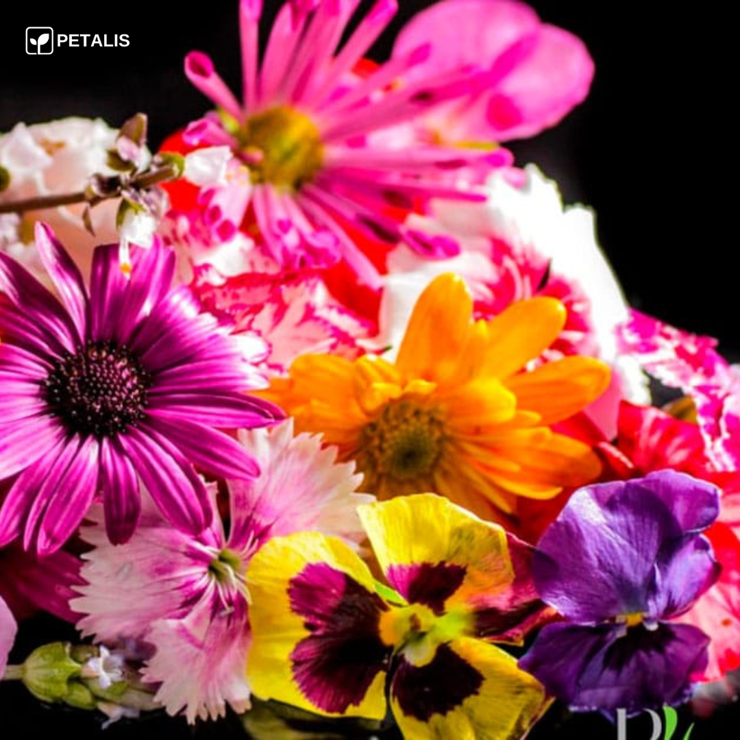 Mistura de sementes de flores Petalis