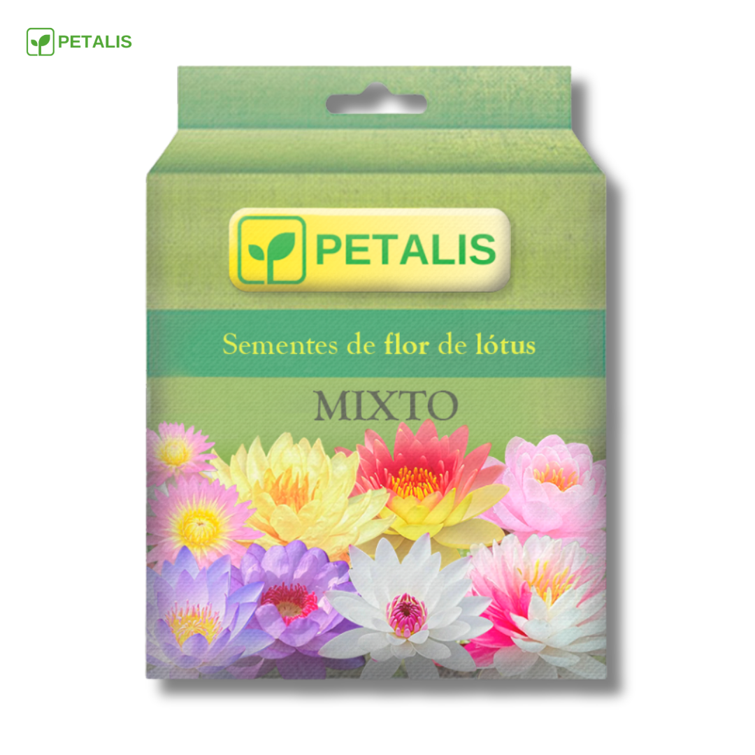 Sementes de flor de Lótus Petalis
