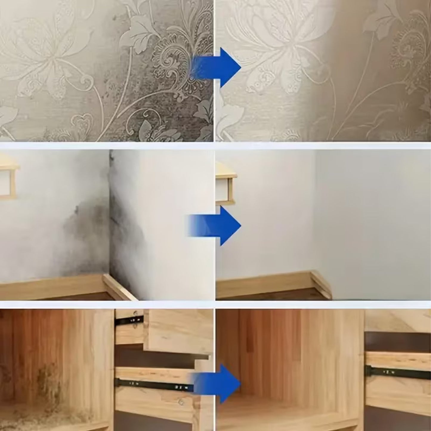 Spray profissional anti-mofo - MOLD