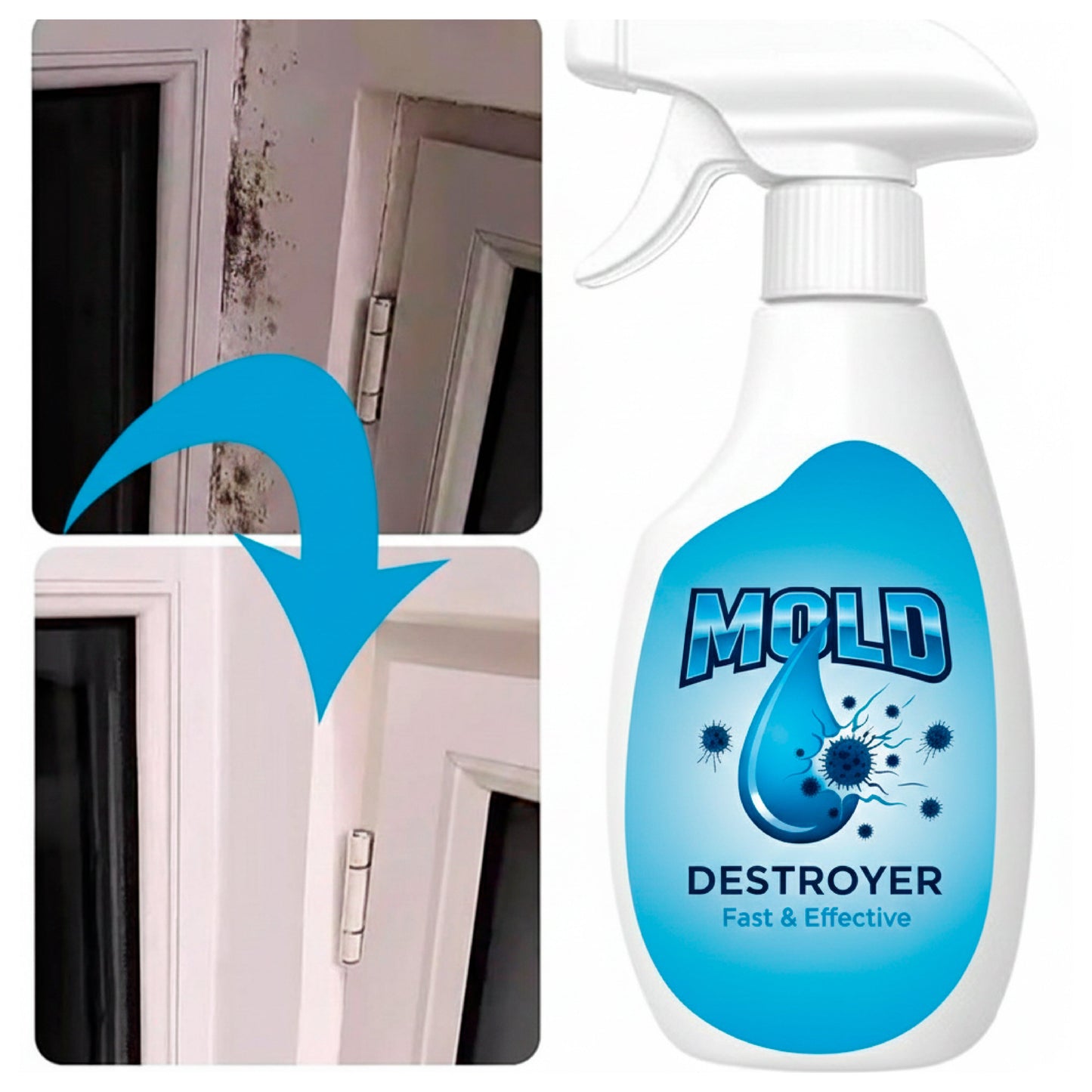 Spray profissional anti-mofo - MOLD