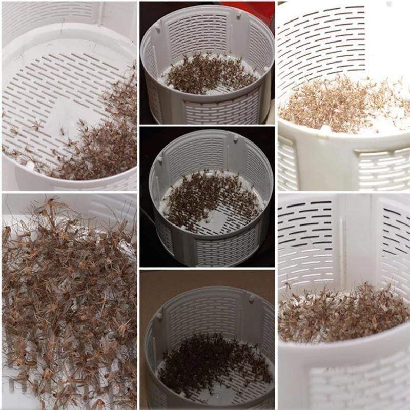 Lâmpada Mousty anti-mosquito